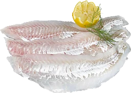 Koljafilé