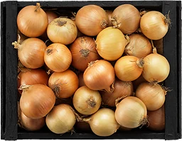 Gul Lök