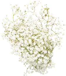 Brudslöja 3-p 50cm vit
