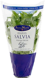 Salvia Eko Krav