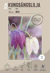 Kungsängslilja Mix 12-p Garden