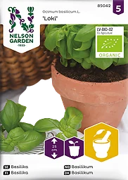 Basilika, Loki, Grön, Organic