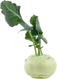 Kålrabbi Grön