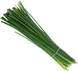 Gräslök