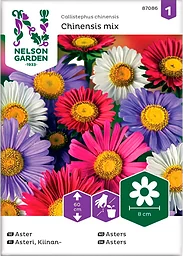 Aster Enkel