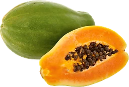 Papaya