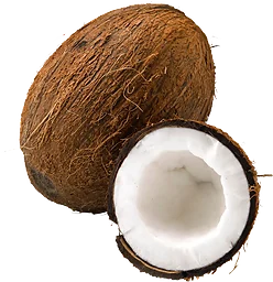 Kokosnöt ca Klass 1 ICA
