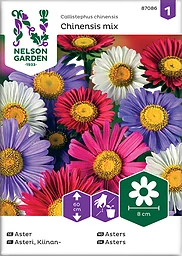 Aster Enkel