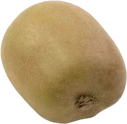 Kiwi Gul Klass 1