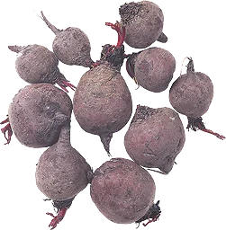 Rödbetor