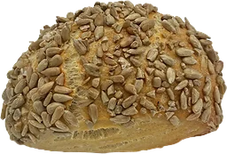 Ciabatta solros ca