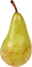 Päron