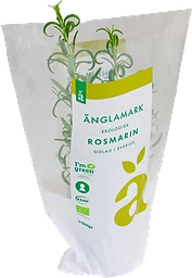Rosmarin Eko