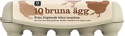 Bruna Ägg Frigående Inomhus