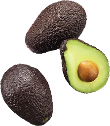 Avokado Mogen