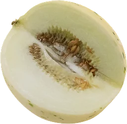 Melon Matisse Hel Klass 1