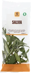 Salvia Klass 1