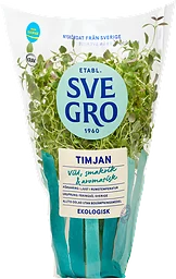 Timjan Eko Kruka