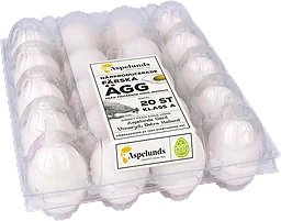 Ägg Frigående Inomhus M/L