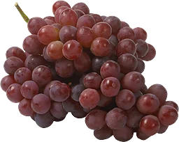 Druvor Röda