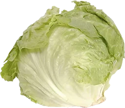 Isbergssallad