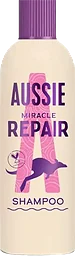 Miracle Repair