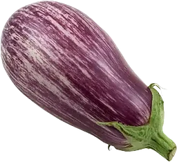 Aubergine Graffiti