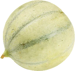Melon