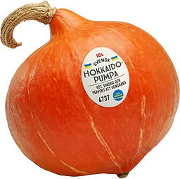 Hokkiadopumpa ca Klass 1
