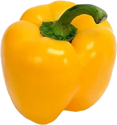 Paprika Gul