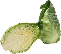Spetskål
