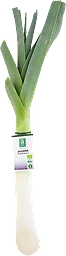 Purjolök