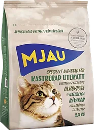 Utekatt Kastrerad