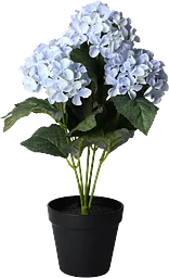 KV Hortensia BLÅ 40cmx4