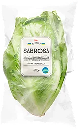 Sallad Sabrosa Klass 1