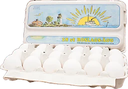 Ägg Frigående M 18-pack