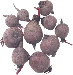 Förkokta Rödbetor