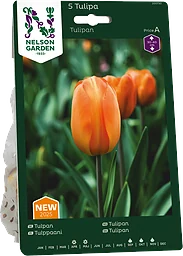 Höstlök Tulpan Orange