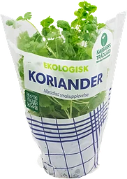 Koriander Klass 1