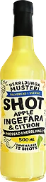 Ingefära Shot Citron