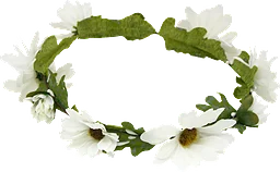 Midsommarkrans vita blommor