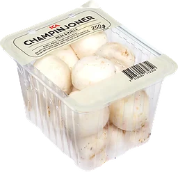 Champinjon Klass 1