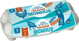 Ägg Frigående Inomhus Large