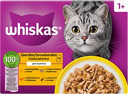 Kattmat Fågel i gele 12-pack