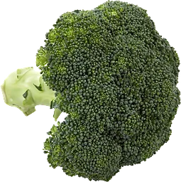Broccoli Klass 1