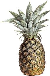 Ananas