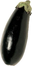 Aubergine