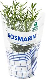 Kabbarp Rosmarin Eko