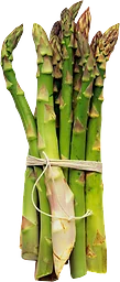 Sparris Grön