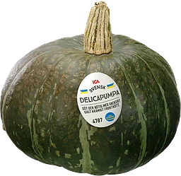 Pumpa Delica ca Klass 1